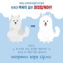주식회사 더블유케어
