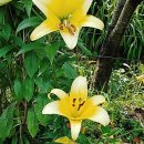 화원농장3 이미지