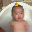 은비언니 | 은비언니 선물템 🩵 일본 육아템 추천 :: [스키나베브...Bébé) 아기 입욕제] 사용법부터 사용 후기까지 !