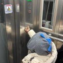 지상길농장 | 분당 뷔페 "더카라" 주말 디너 가족모임 방문 후기(주차,콜키지, 아이 메뉴)