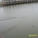 신휴 낚시터 이미지