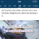 "왜 멀쩡한 반려견을 유모차에 태우나요?"…'개모차' 논란 이미지