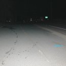 은성 태양광발전소 이미지