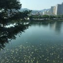 열반떡볶이 | 5월 머햇는지 알려디림 💦