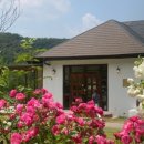 여주-1055 이미지