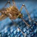 강남대공부학사