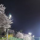 분성체육공원? 이미지