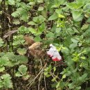 생활의 향기 이미지