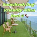 오늘도 신나개 | 강원도 삼척시 애견동반 풀빌라/펜션 BEST 5, 댕댕이와 인생샷 건지러 떠나볼까?