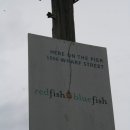 (주)블루칩스 이미지