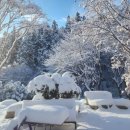 통나무펜션&편백쉼터 이미지