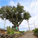 어음1리 복지회관 이미지