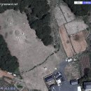 묘사 떡과 한국 정치행태 이미지