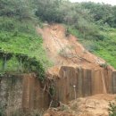 삼오르네상스 이미지