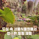 겨울 실내 서울 아이와 가볼 만한 곳 마곡 서울 식물원 주차장