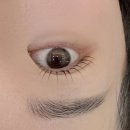 반송동101 | 화성 반송동 브로우데이뷰티에서 속눈썹 연장으로 깔끔한 변신 후기