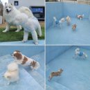 멍스테이션 이미지