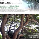 장사도-만지도-연대도- 1박2일 10월6-7일 이미지