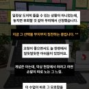 케이라이프 | 놓치면 후회, 케이라이프코칭 심화 후기