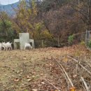 정인농장 이미지