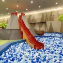 꼬리흔들 유치원 이미지