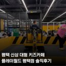 키즈월드어린이집 | 평택 신상 대형 키즈카페 플레이월드 평택 솔직후기