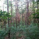 오도산자연휴양림 이미지