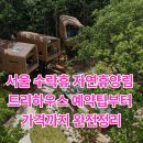 갤러리수락 | 서울 수락휴 자연휴양림 트리하우스 예약팁부터 가격까지 완전정리