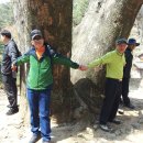 최남렬의원 이미지