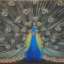 부귀영화와 한국민화 이미지