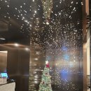 기대만족다산점 | 다산현대아울렛 맛집, 겨울 굴 신메뉴가 만족스러웠던 도원스타일 다산점 후기 !!