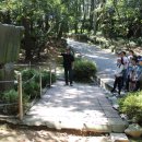 몰운대 시비 이미지