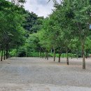 금산 자연 오토캠핑장 이미지