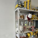 모모 | 🥯 서울 강남구 삼성중앙역 근처 베이글 맛집 "모모베이글" 후기 🥯(+내돈내산)