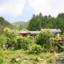 금당롯지 이미지