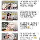 어글리독 이미지