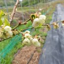 터골농원 이미지