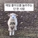 씨크릿펜션민박 | 5월 마운자로 맞은 30대 미혼남성의 일상