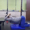 건강관리학과PT전문센터 이미지