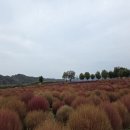 에센모터스 이미지