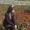 카피랜드 이미지