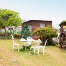 도담도담애견펜션 이미지