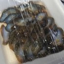 삼길포펜션 | 삼길포 단체 모임, 숯불 바비큐 | 포졸란 펜션 빌