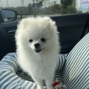 해듬동물병원 이미지