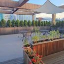 티팰리스 이미지