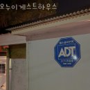 제주게스트하우스봄꽃 이미지