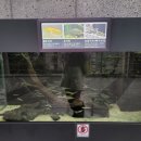 원두천 2 이미지