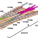 서동탄