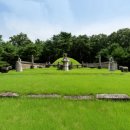 파주삼릉 이미지