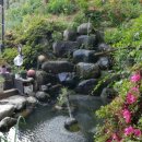 메밀촌 봉평막국수 이미지